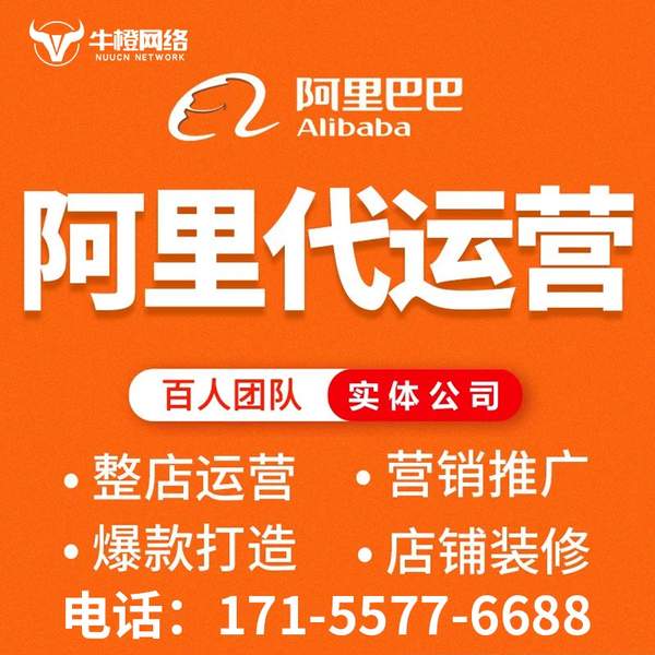 泊头电商代运营