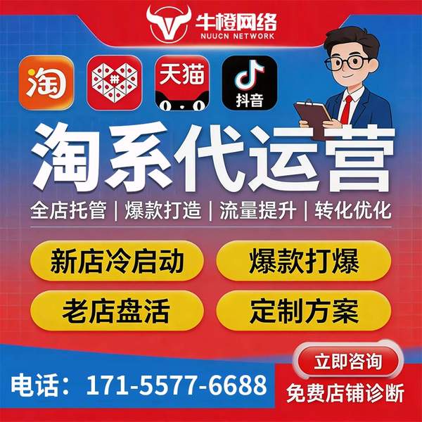 泊头电商代运营