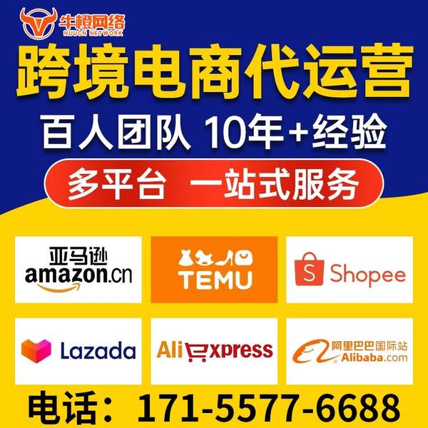 泊头电商代运营