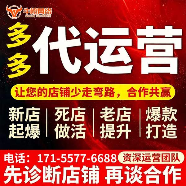 泊头电商代运营