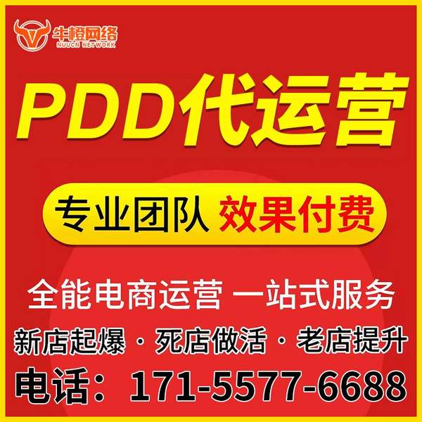 泊头电商代运营