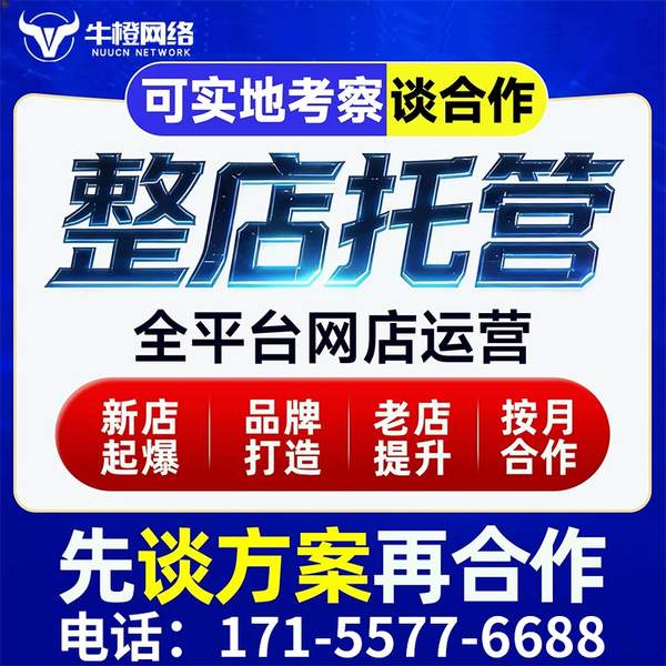 泊头电商代运营