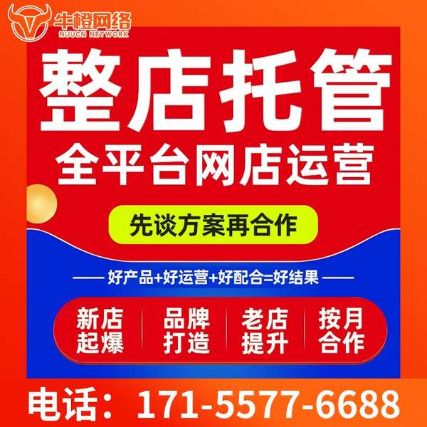 泊头电商代运营
