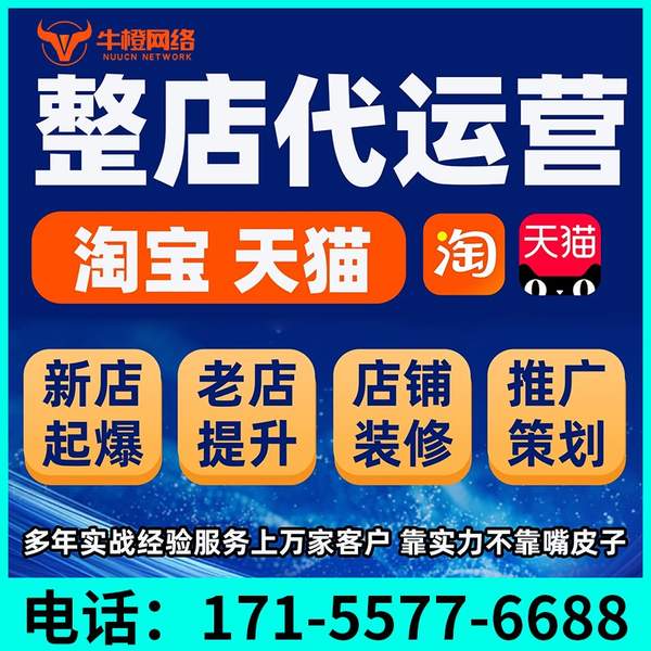 泊头电商代运营