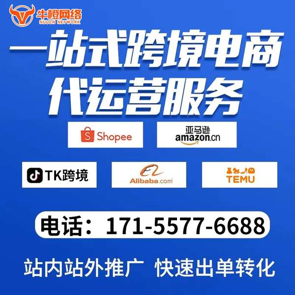 泊头电商代运营