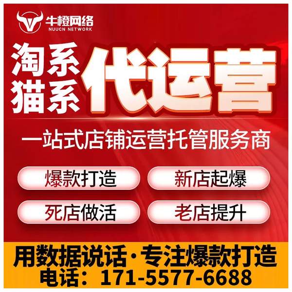 泊头电商代运营
